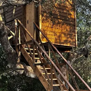  Campo de lujo Del Arbol Lavagarural